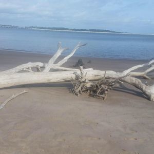 Meet your Posher, Anne